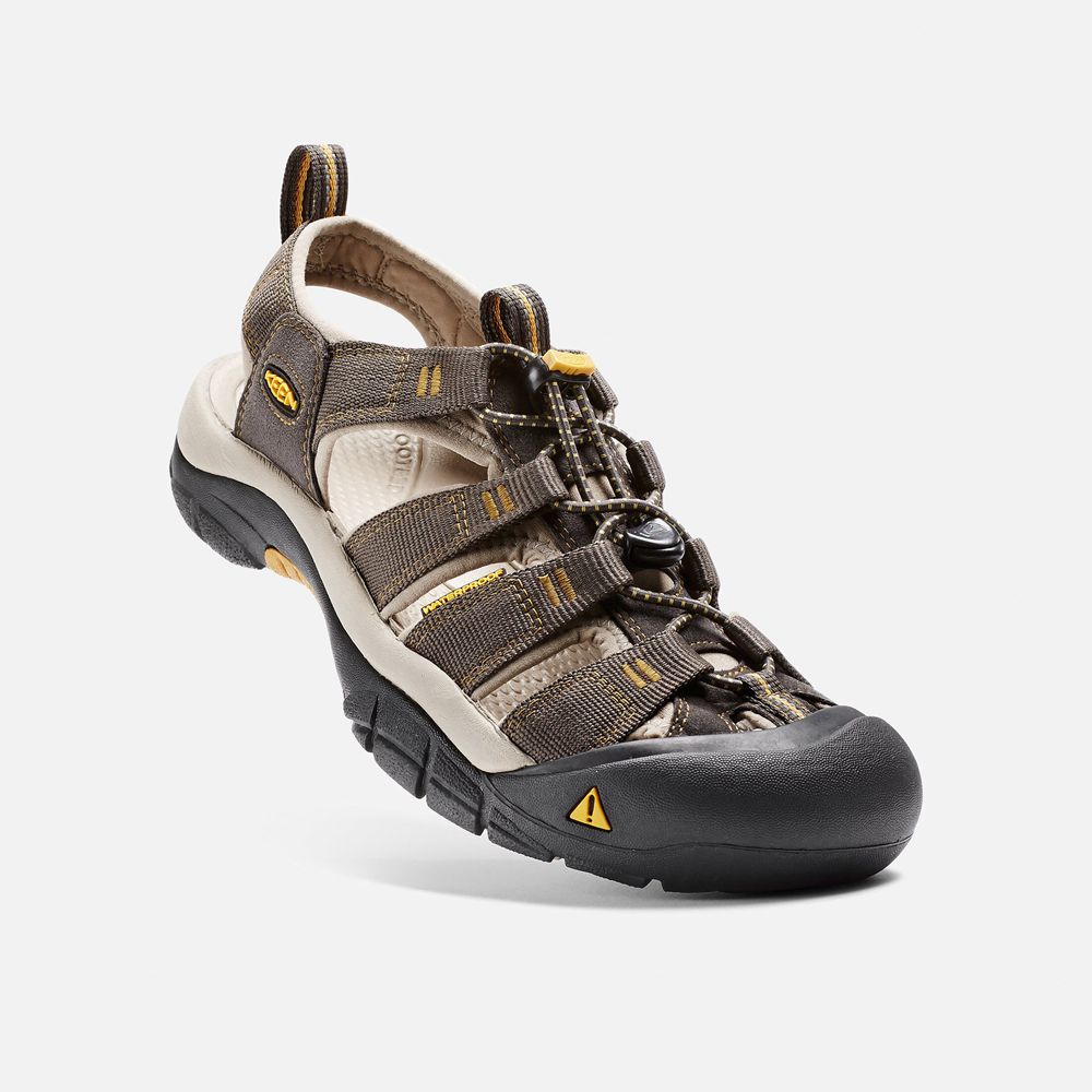 Sandales de Randonnée Keen Homme Marron | Newport H2 | BJRHU-2053